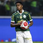 Melhores Apostas em Palmeiras x Flamengo pelo Brasileirão 2024