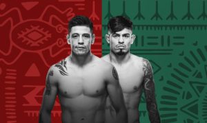 Melhores Apostas para Moreno x Royval 2 no UFC Fight Night