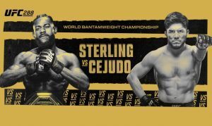 Melhores Apostas para Sterling x Cejudo no UFC 288