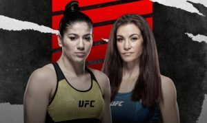 Vieira x Tate No UFC Fight Night – Prognóstico De Aposta